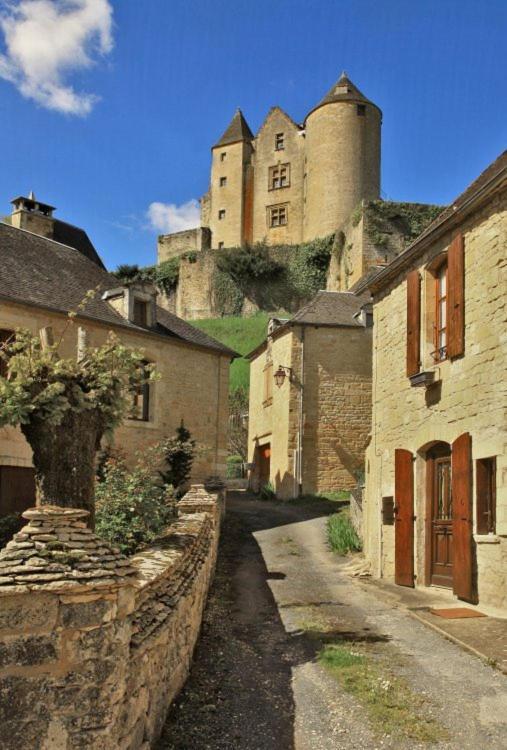 Petite Maison En Pierre Au Coeur Du Perigord Noir Proche De Sarlat Et Rocamadour Salignac Eyvigues Exterior foto